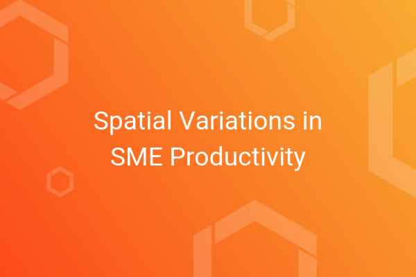 Project Report Spatial Variations in SME Productivity.